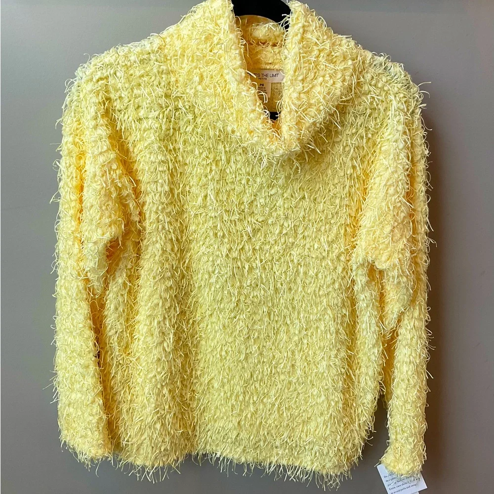 💖HOST PICK💖NWT - Skye’s The Limit Crewneck Sweater - Picture 8 of 8